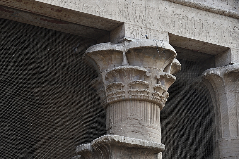 16 MAK_6269.jpg - Altre colonne presentano un capitello decorato a forma di fiore di loto.